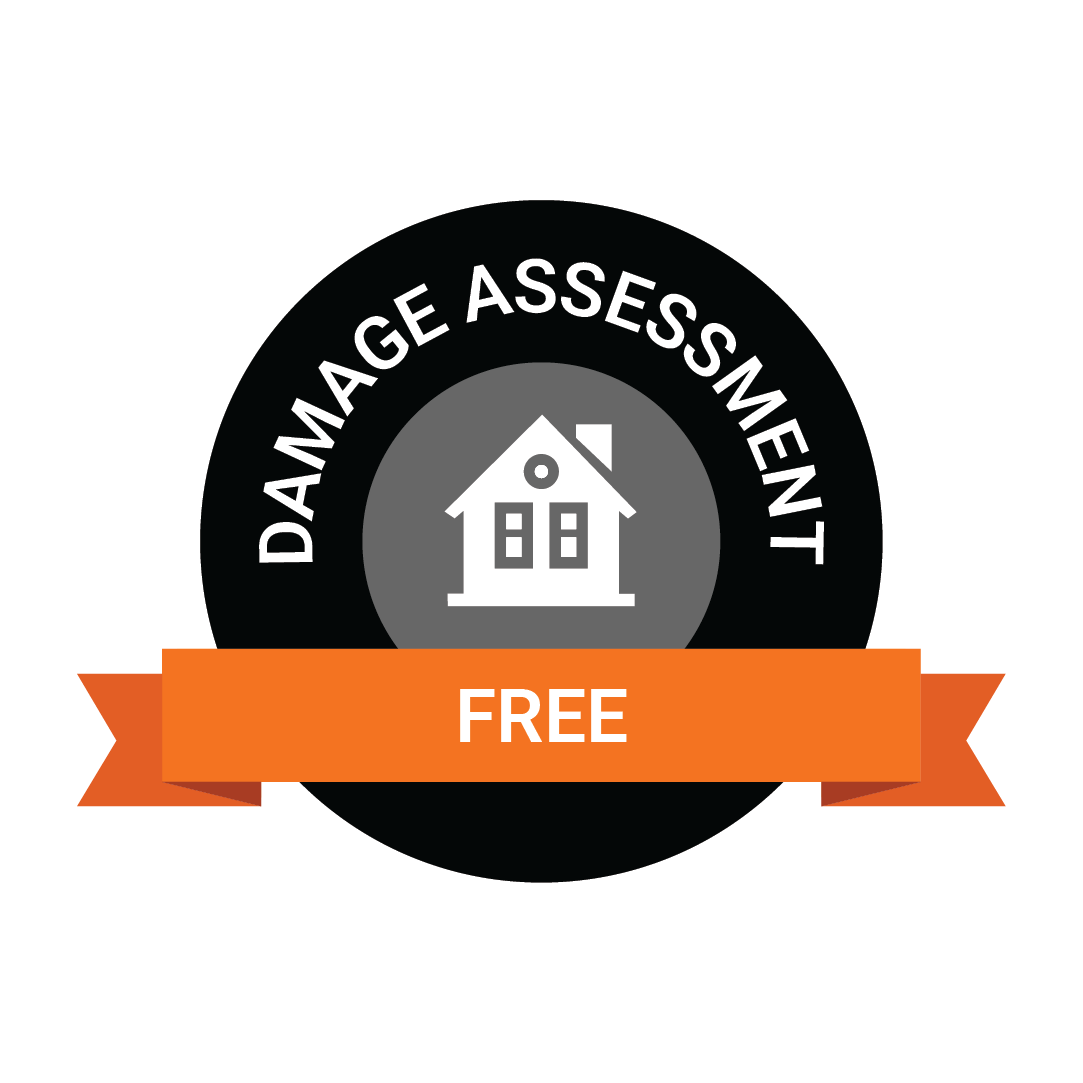 Free damage assessment